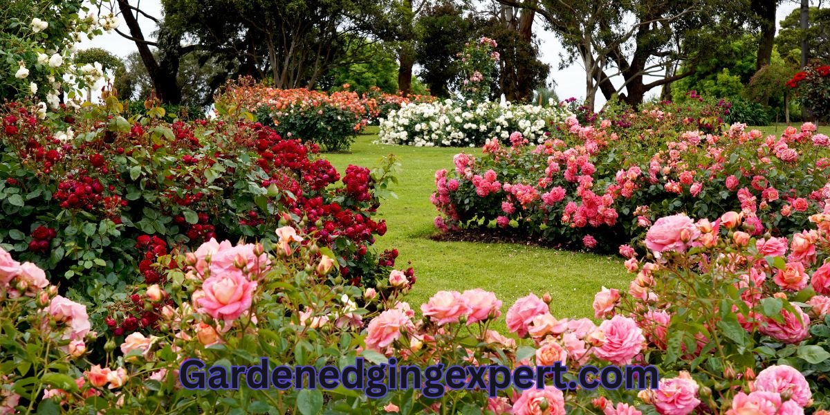 Gardenedgingexpert.com