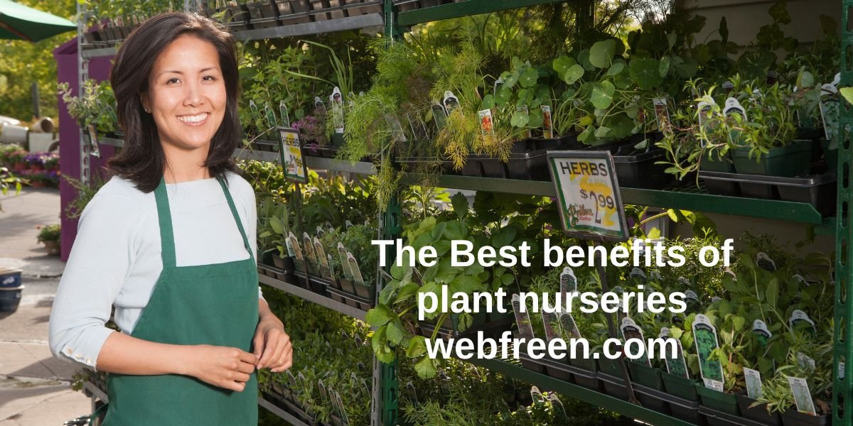 The Best benefits of plant nurseries webfreen.com